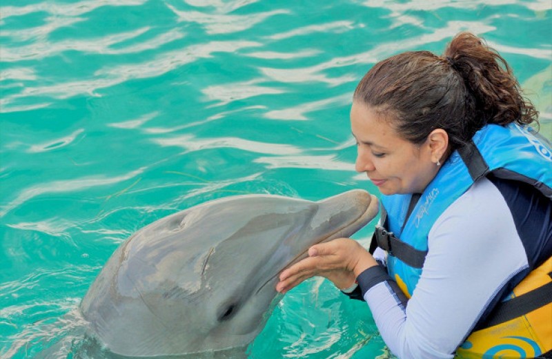 Господдержка: зоопарки, дельфинарии и океанариумы Кубани получат субсидии из-за простоя во время пандемии