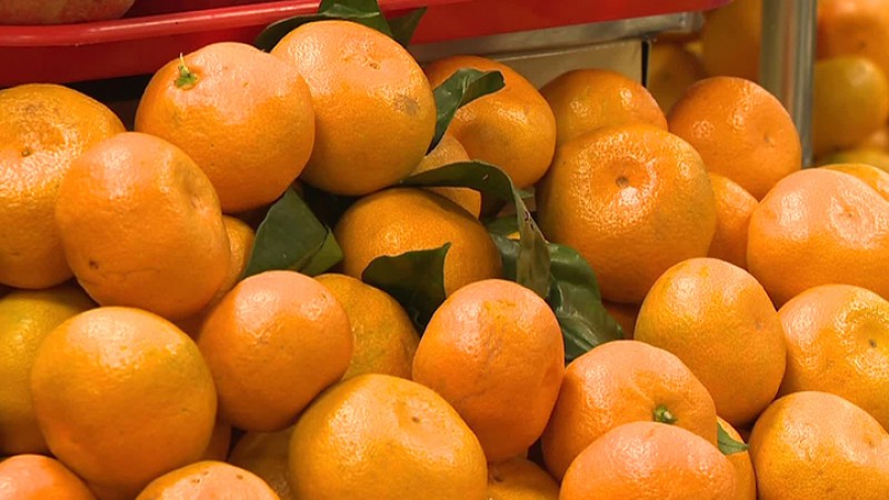 В Новороссийске на таможне пресекли незаконный ввоз 44 тонн опасных мандаринов