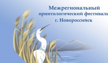 Внимание к пернатым! В Новороссийске прошел межрегиональный орнитологический фестиваль