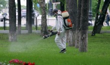 В Новороссийске обработают парки  и зоны отдыха от клещей