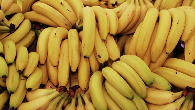 Опасный товар не попадет на столы новороссийцев: 42 тонны зараженных бананов задержаны в порту