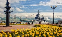 Цветочный принт в моде: цветочные пирамиды украсят Новороссийск