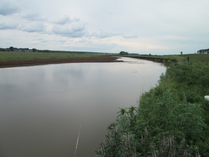 Вернулись в прежнее русло: Реки под Новороссийском после длительной засухи снова наполнились водой