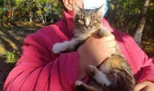 Спасение четвероного: в Новороссийске кот просидел на дереве два дня