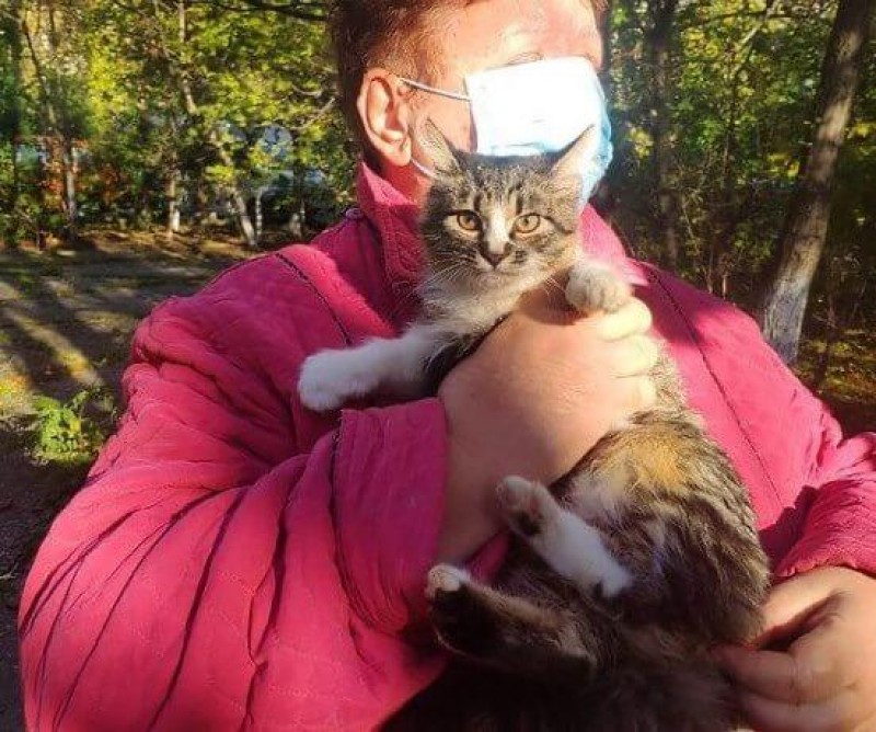 Спасение четвероного: в Новороссийске кот просидел на дереве два дня