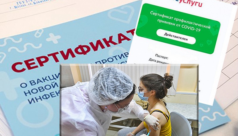 Новороссийцы смогут получить сертификат о вакцинации в МФЦ