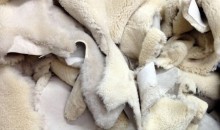 12 тонн овечьих шкур не пустили в Новороссийск