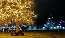 Архитектурно- дизайнерское решение: на набережные города вековое дерево украсили ландшафтной подсветкой
