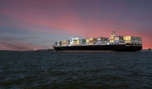 Прямые поставки: открыт новый судоходный маршрут для экспорта сельхозпродукции из Египта в Новороссийск