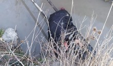 Поиск приключений закончился спасательной операцией: в Новороссийске мужчина повис на прутьях