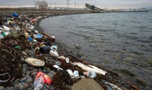 Жизнь без мусора: в Новороссийске появится первый в России и пока единственный «Пляж без отходов»