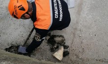 Двухдневный плен: в Новороссийске спасатели пробили бетон и вытащили застрявших в теплотрассе собак