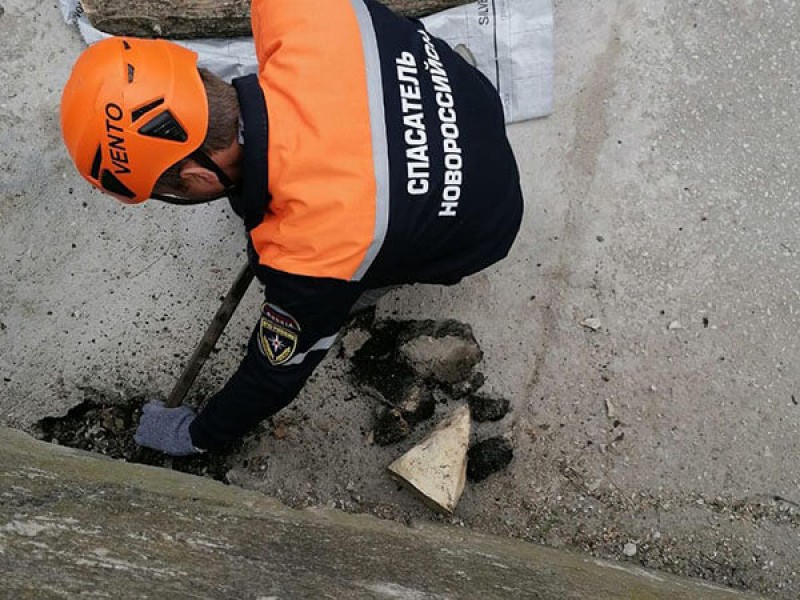 Двухдневный плен: в Новороссийске спасатели пробили бетон и вытащили застрявших в теплотрассе собак